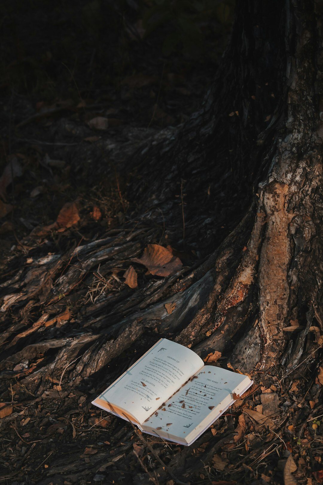 suspenseful book scene